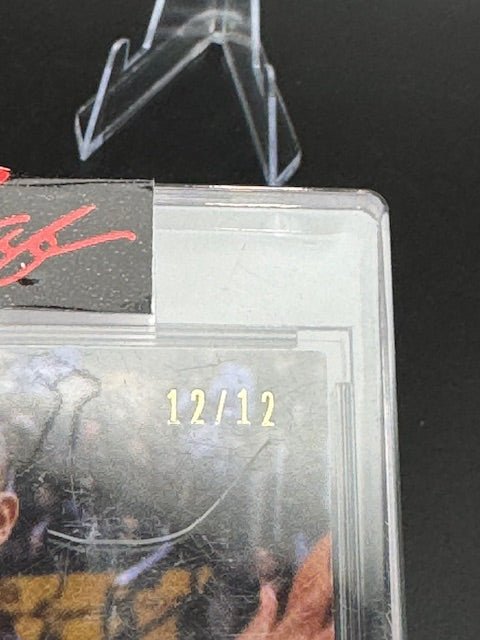 2021 Leaf Pro Set Basketball Damon Stoudamire Autograph Card #PSB - DS1 Numbered 12/12 - Curators Corner LLC